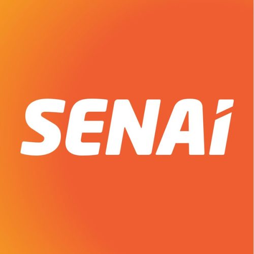 industria-inovadora-iel-inovacao-esg-ia-startups-entidade-cni-senai-sesi-sebrae-rede-brasil-ceo-3-1